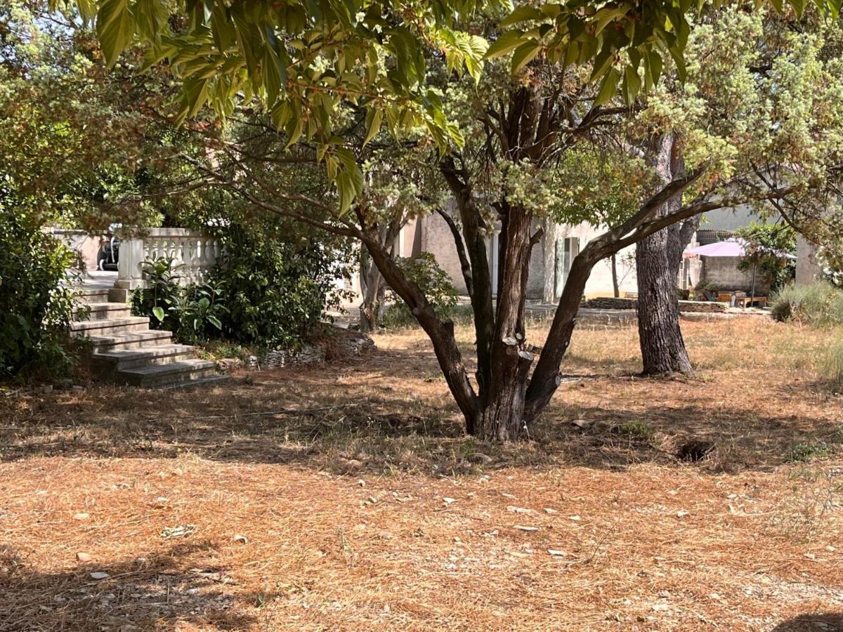 Maisonnette Independante Avec Jardin/Patio Nîmes Exterior foto